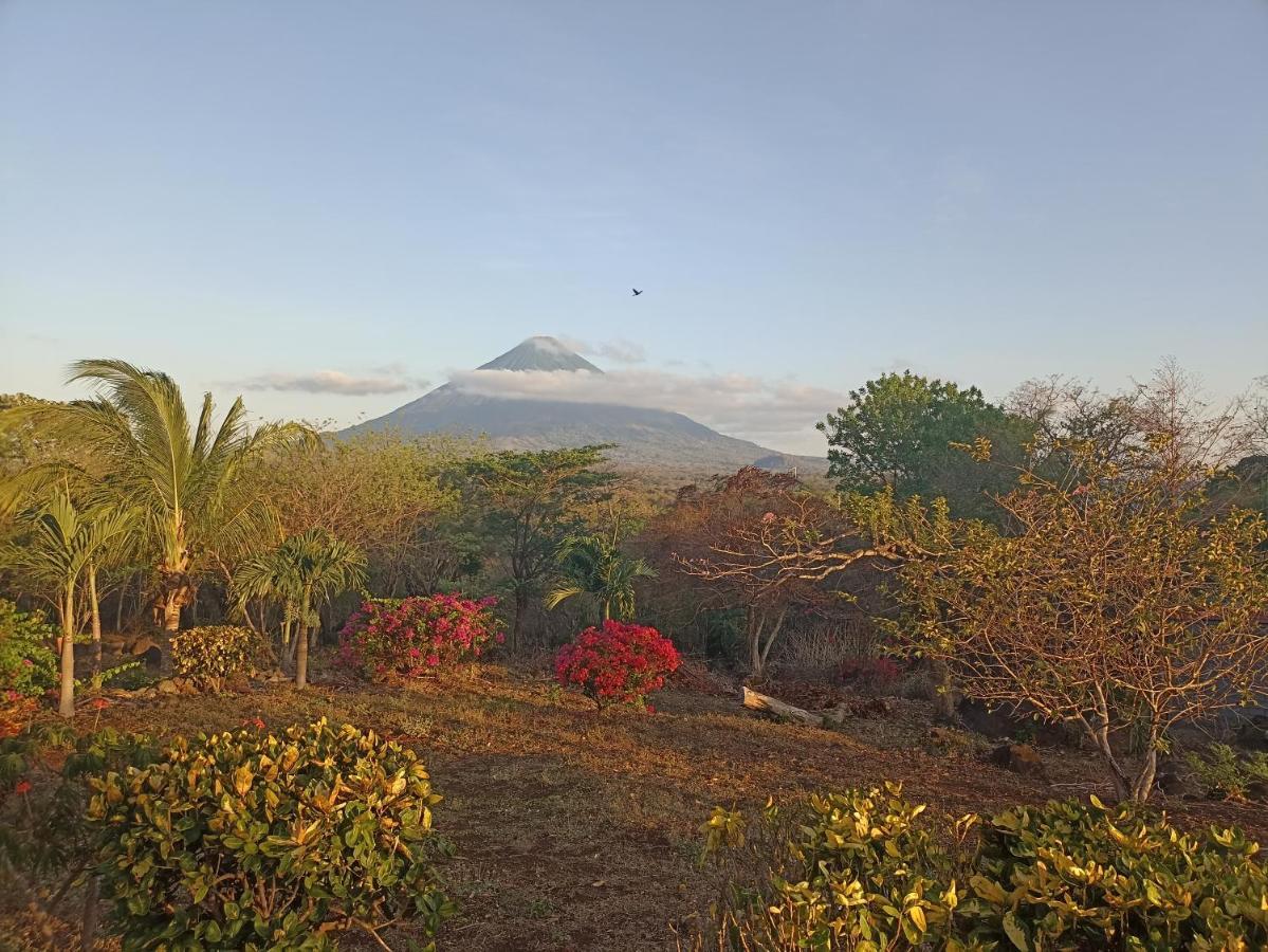 Hostel Santa Cruz Ometepe Altagracia 外观 照片
