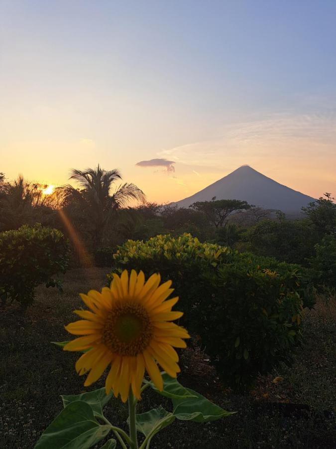 Hostel Santa Cruz Ometepe Altagracia 外观 照片