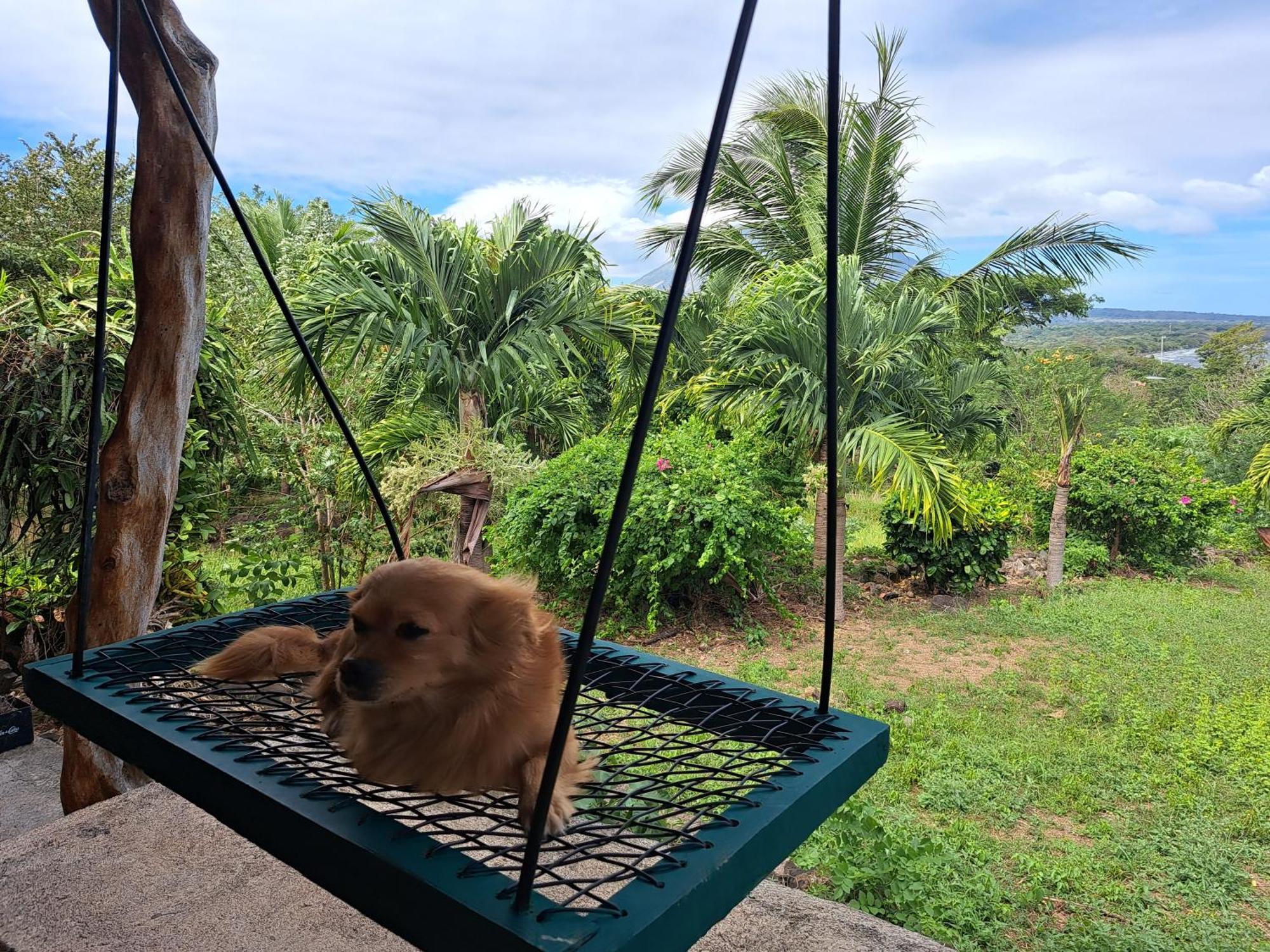 Hostel Santa Cruz Ometepe Altagracia 外观 照片